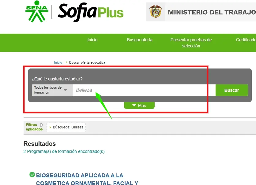 cursos de belleza en el sena